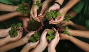 La economía verde: un motor para el desarrollo sostenible