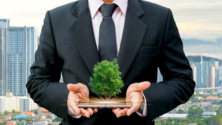 Empresarios que impulsan el desarrollo sostenible