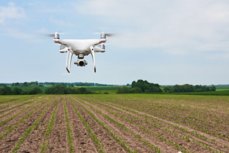 Digitalización agropecuaria