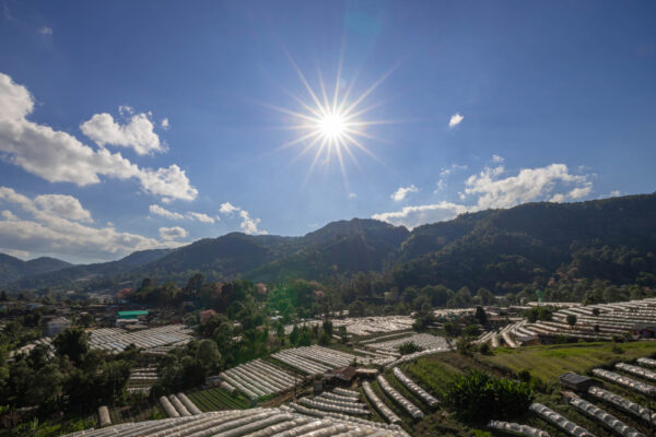 Guatemala sostenible