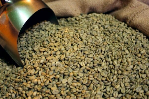 café de guatemala