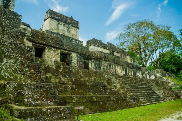 Tikal y las Ruinas Mayas