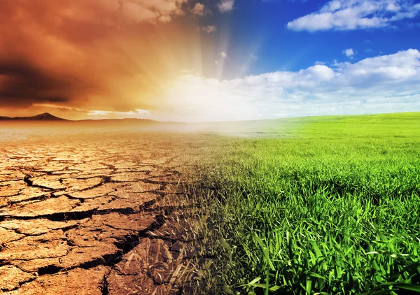 efectos del cambio climático