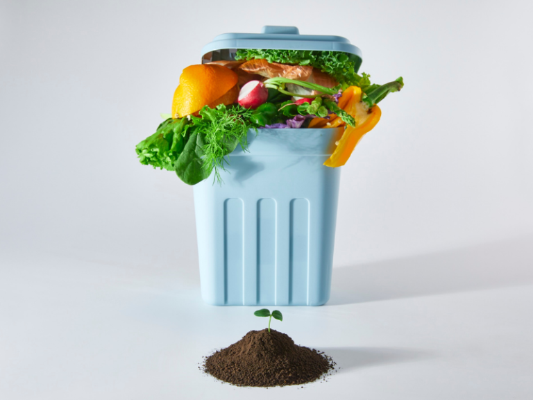 bote de basura lleno de comida y frente a el un brote de una nueva planta